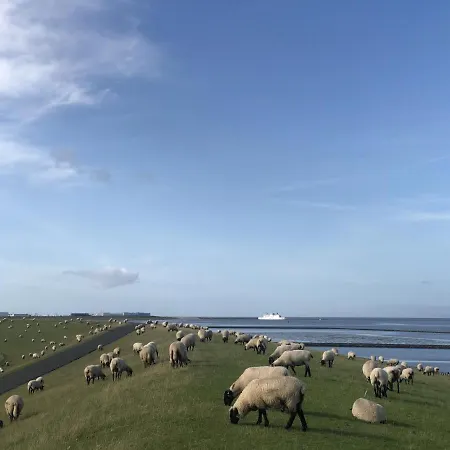 شقة Wind Und - Traumhaft An Der Nordsee *