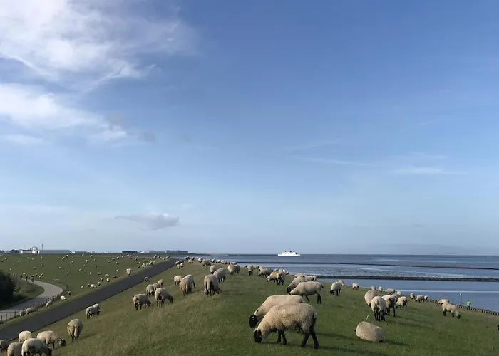 公寓 Wind Und - Traumhaft An Der Nordsee *